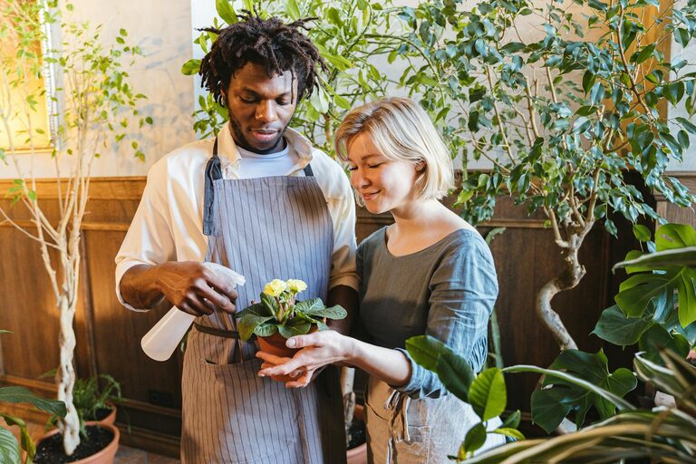 Tips for Creating a Sustainable Home Garden Year-Round